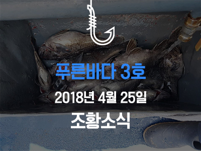 [푸른바다3호] 4월 25일 조황소식입니다!