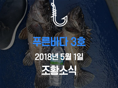 [푸른바다3호] 5월 1일 조황소식입니다!