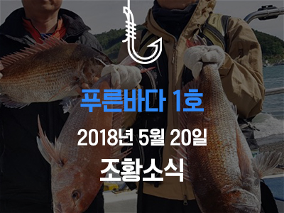 [푸른바다1호] 5월 20일 조황소식입니다!