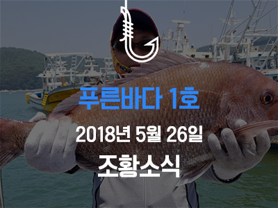 [푸른바다1호] 5월 26일 조황소식입니다!