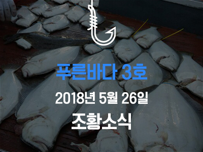 [푸른바다3호] 5월 26일 조황소식입니다!