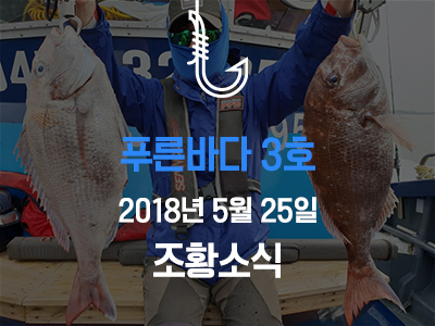 [푸른바다3호] 5월 25일 조황소식입니다!