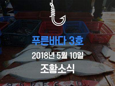 [푸른바다3호] 5월 10일 조황소식입니다!