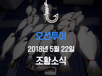 [오션투어] 5월 22일 조황소식입니다