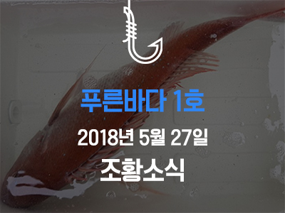 [푸른바다1호] 5월 27일 조황소식입니다!