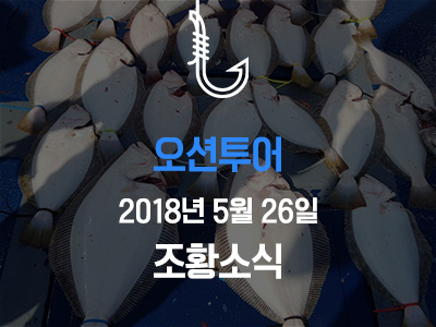 [오션투어] 5월 26일 조황소식입니다!