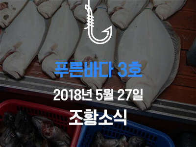 [푸른바다3호] 5월 27일 조황소식입니다!