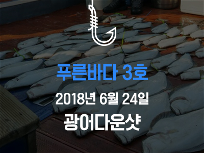 [푸른바다3호] 6월 24일 조황소식입니다!
