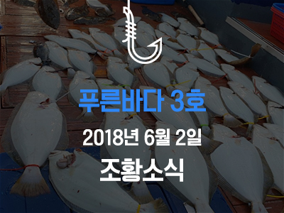 [푸른바다3호] 6월 2일 조황소식입니다!