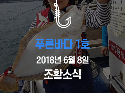 [푸른바다1호] 6월 8일 조황소식입니다!