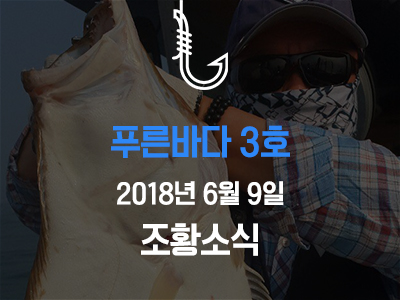 [푸른바다3호] 6월 9일 조황소식입니다!