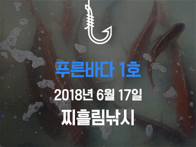 [푸른바다1호] 6월 17일 조황소식입니다!