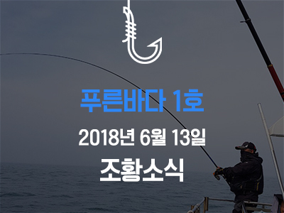 [푸른바다1호] 6월 13일 조황소식입니다!
