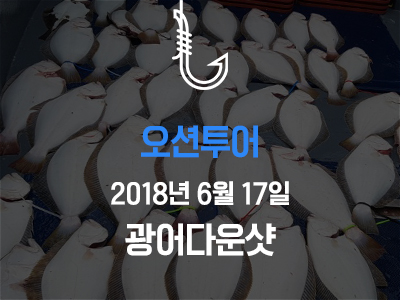 [오션투어] 6월 17일 조황소식입니다