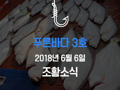 [푸른바다3호] 6월 6일 조황소식입니다!
