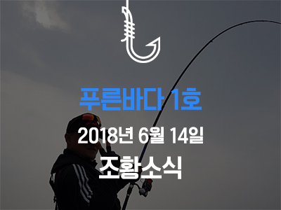 [푸른바다1호] 6월 14일 조황소식입니다!