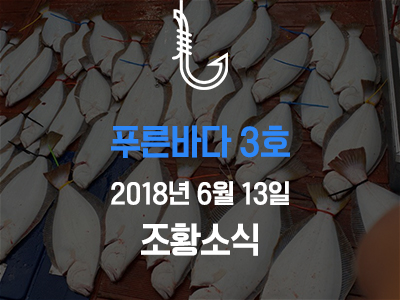 [푸른바다3호] 6월 13일 조황소식입니다!