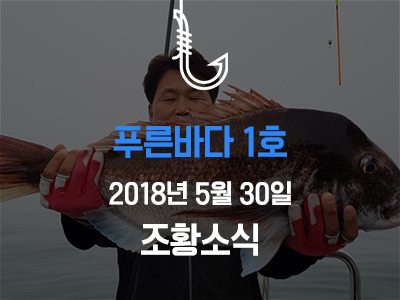 [푸른바다1호] 5월 30일 조황소식입니다!