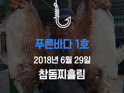 [푸른바다1호] 6월 29일 조황소식입니다!