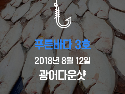 [푸른바다3호] 8/12 광어 다운샷