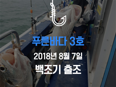 [푸른바다3호] 백조기 조황