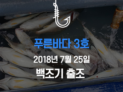 [푸른바다3호] 백조기 조황~
