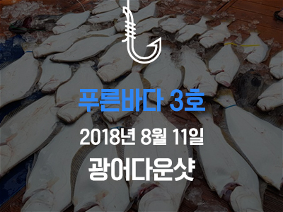 [푸른바다3호] 8/11 광어다운샷