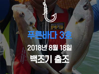 [푸른바다3호] 8/18 백조기