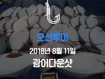 [오션투어] 8/11 광어다운샷