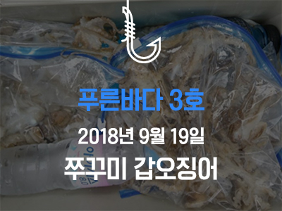 [푸른바다3호] 쭈꾸미 갑오징어