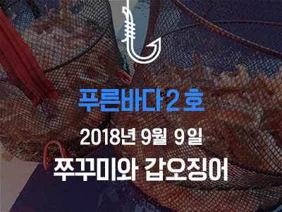 [푸른바다2호] 쭈꾸미와 갑오징어