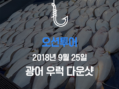 [오션투어] 광어 우럭 다운샷~ 가을 첫출조!