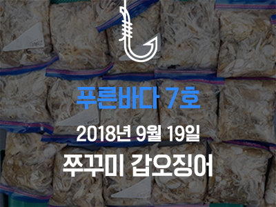 [푸른바다7호] 쭈꾸미 갑오징어