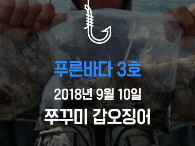 [푸른바다3호] 쭈꾸미 갑오징어