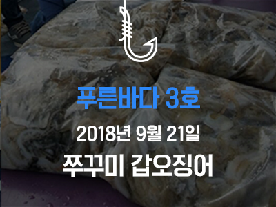 [푸른바다3호] 쭈꾸미 갑오징어