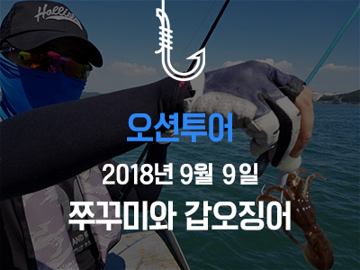 [오션투어] 쭈꾸미와 갑오징어