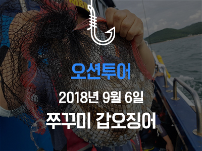 [오션투어] 쭈꾸미 갑오징어~