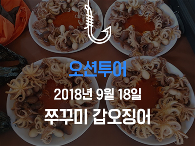 [오션투어] 쭈꾸미 갑오징어