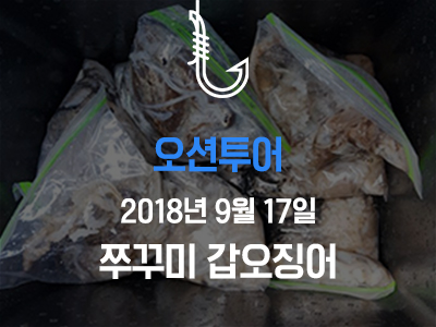 [오션투어] 쭈꾸미 갑오징어