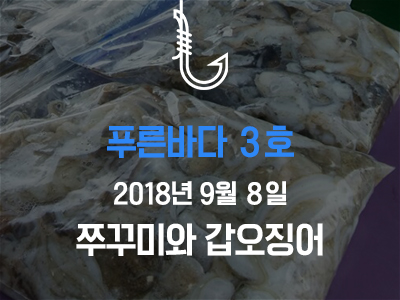 [푸른바다3호] 쭈꾸미와 갑오징어