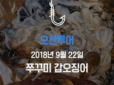 [오션투어] 쭈꾸미 갑오징어