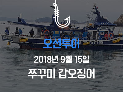 [오션투어] 쭈꾸미 갑오징어