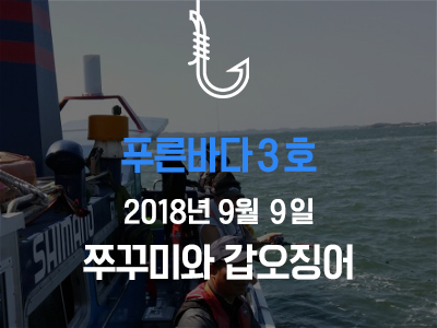 [푸른바다3호] 쭈꾸미와 갑오징어