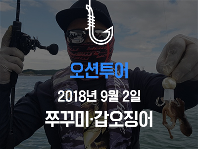 [오션투어] 쭈꾸미 갑오징어