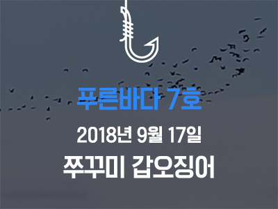 [푸른바다7호] 쭈꾸미 갑오징어