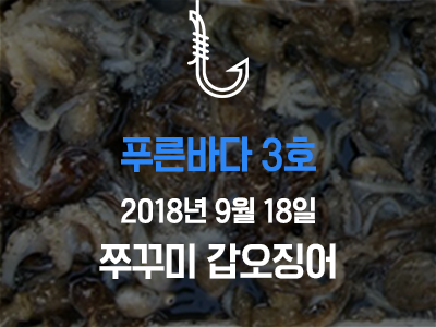 [푸른바다3호] 쭈꾸미 갑오징어