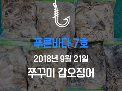[푸른바다7호] 쭈꾸미 갑오징어