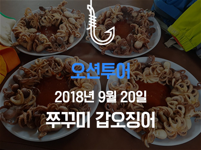 [오션투어] 쭈꾸미 갑오징어