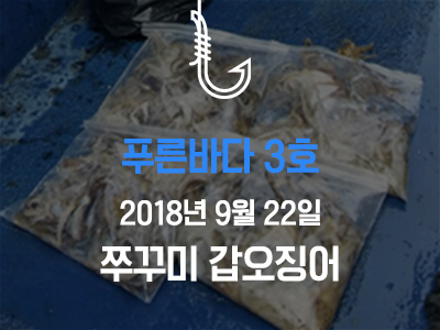 [푸른바다3호] 쭈꾸미 갑오징어
