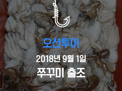 [오션투어] 쭈꾸미 첫출조!